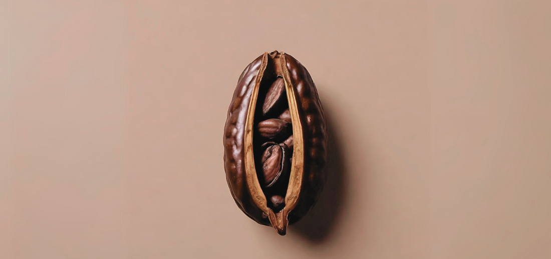 What Is Cacao Tea?