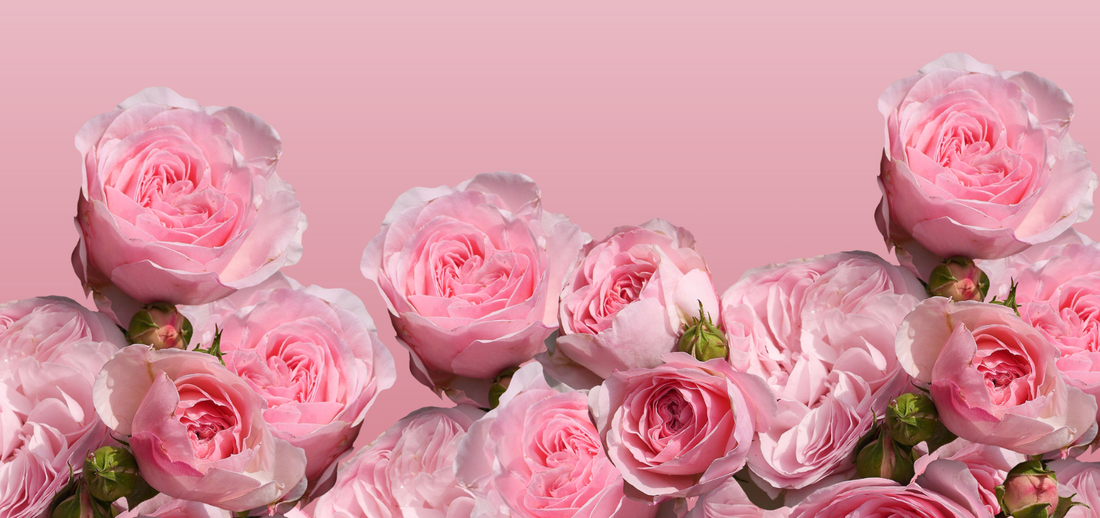 Unique Tea Gift Ideas for Your Valentine