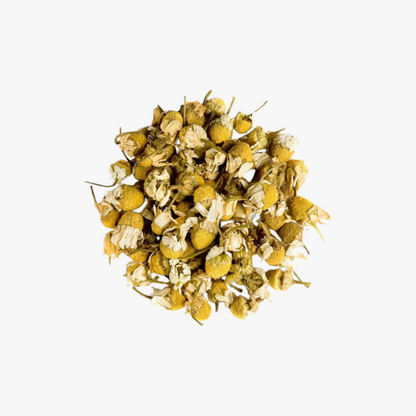 Chamomile Blossoms